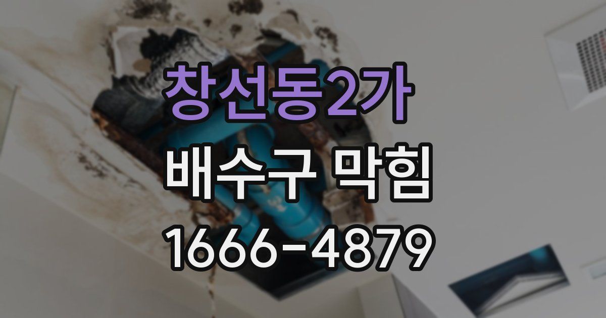 창선동2가 배수구 막힘