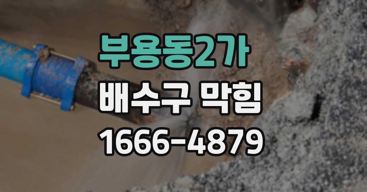 부용동2가 배수구 막힘