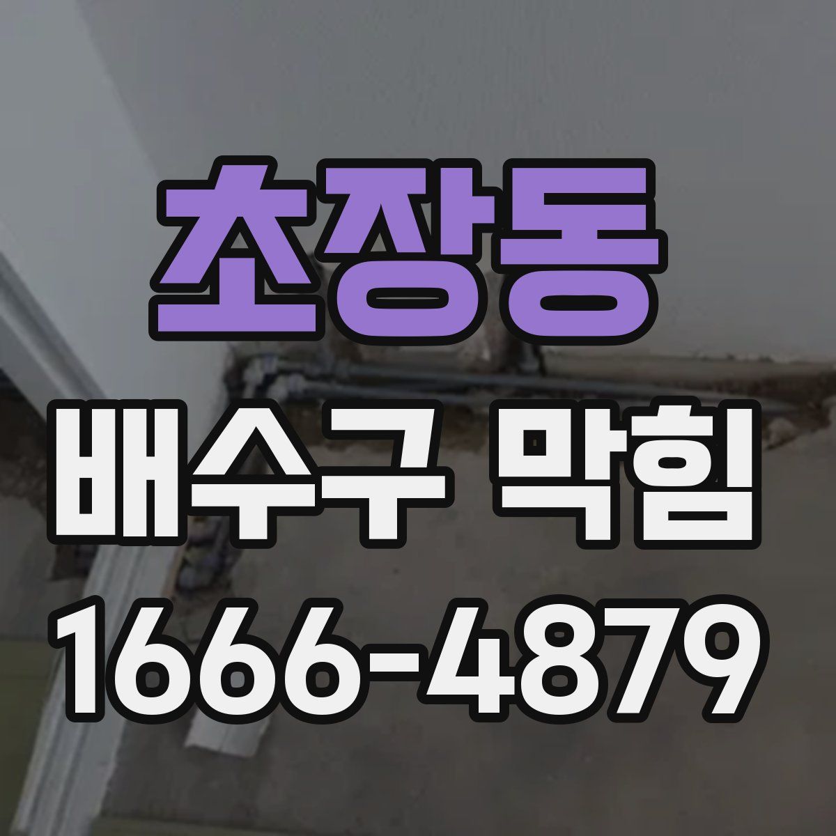 초장동 배수구 막힘