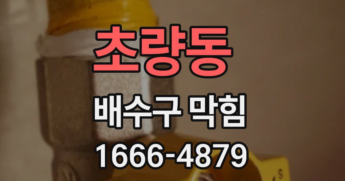 초량동 배수구 막힘