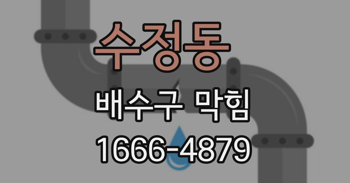 수정동 배수구 막힘