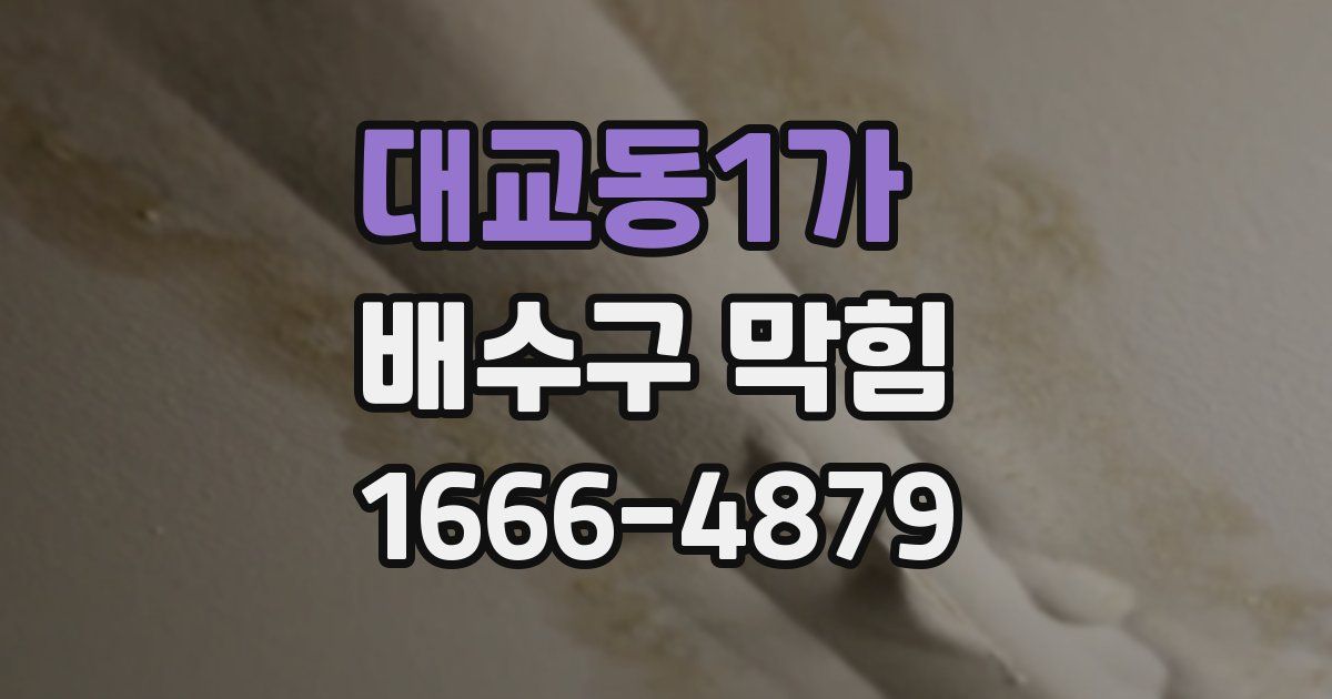 대교동1가 배수구 막힘