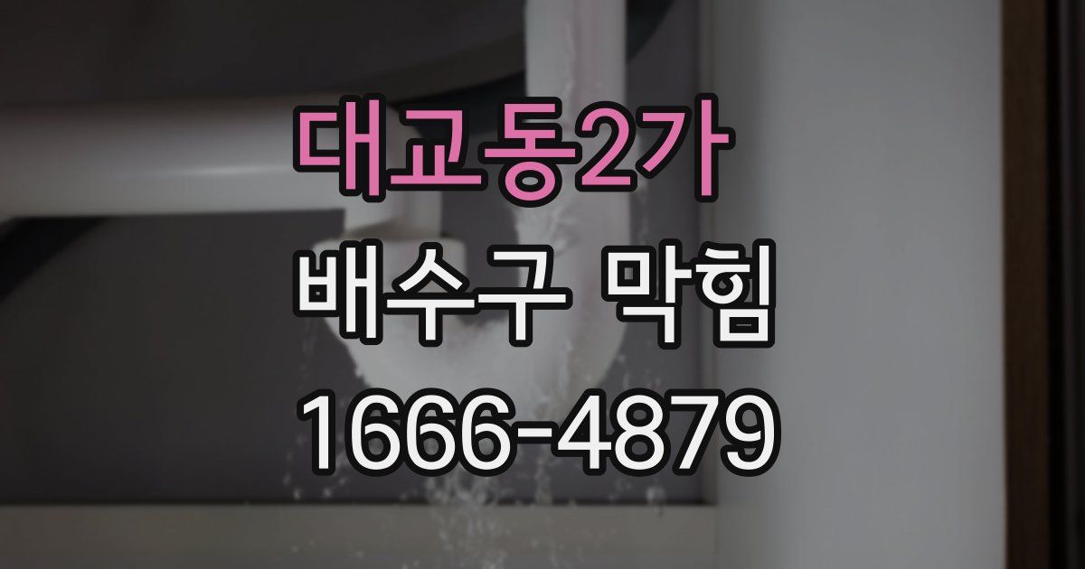 대교동2가 배수구 막힘