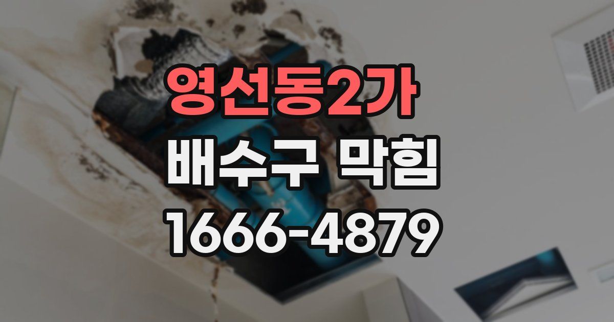 영선동2가 배수구 막힘