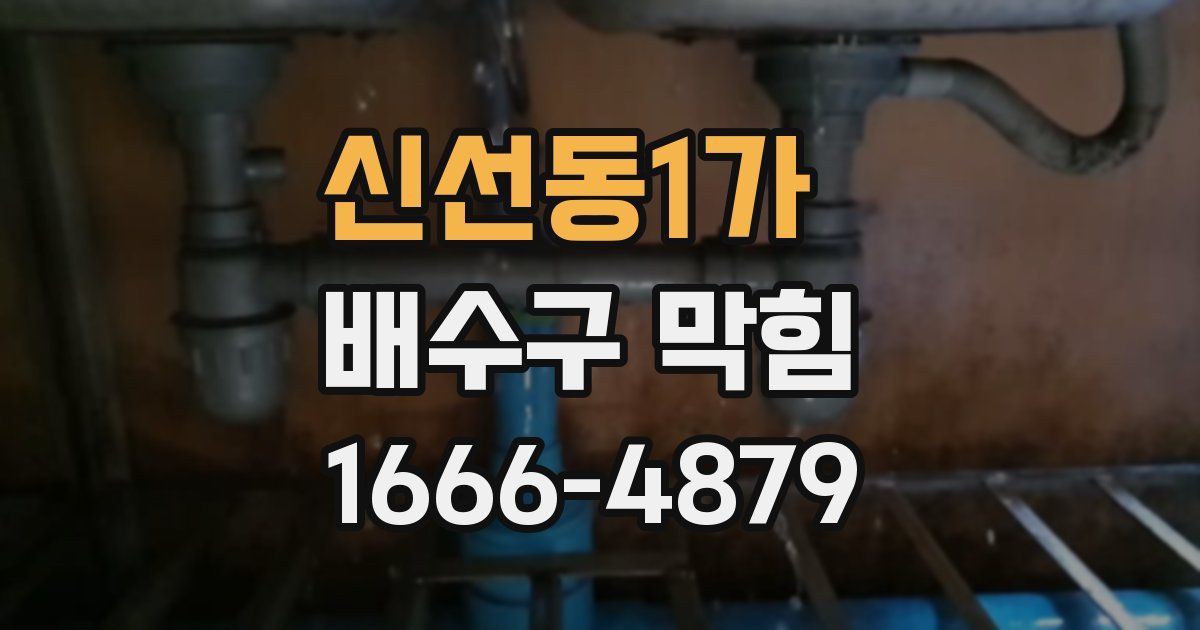 신선동1가 배수구 막힘