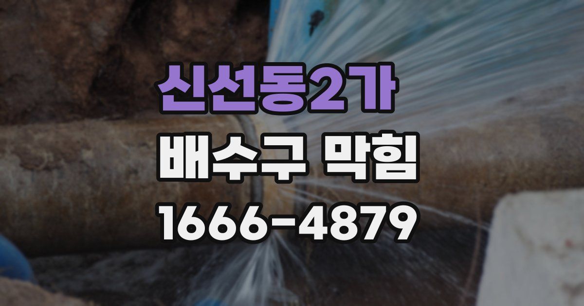 신선동2가 배수구 막힘