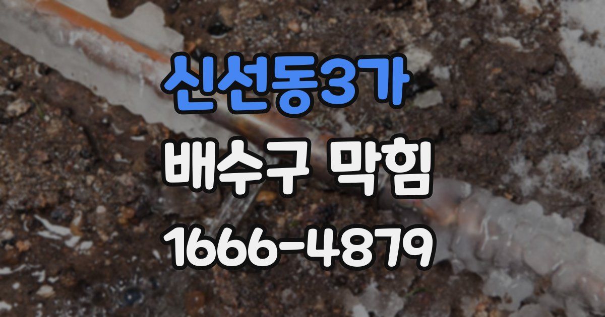 신선동3가 배수구 막힘
