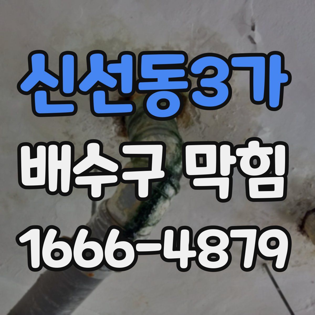 신선동3가 배수구 막힘