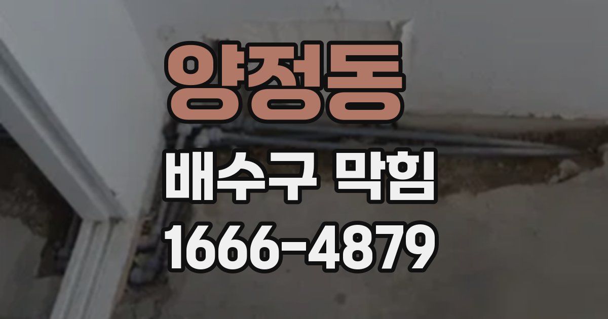 양정동 배수구 막힘
