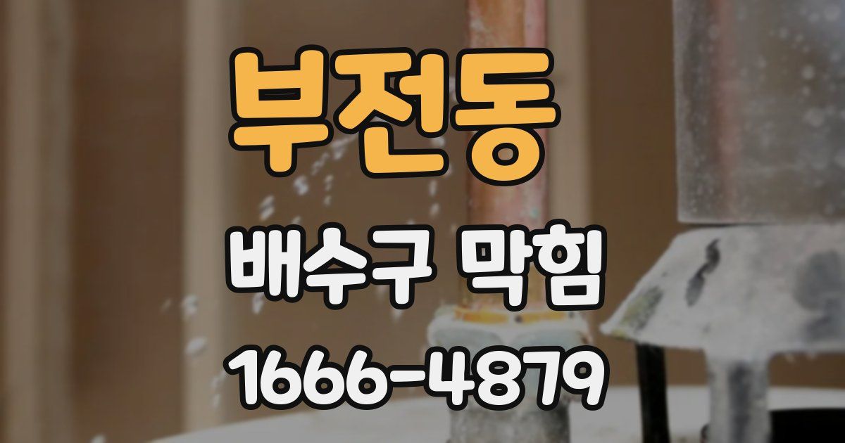 부전동 배수구 막힘