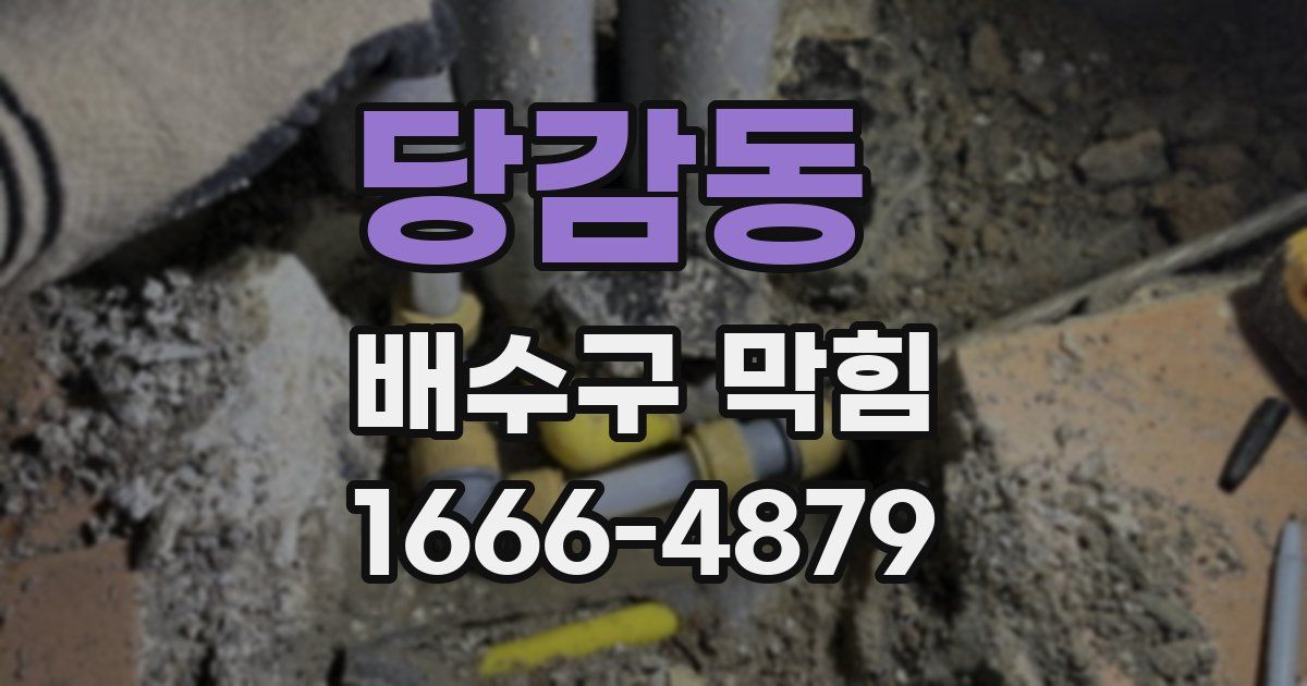 당감동 배수구 막힘