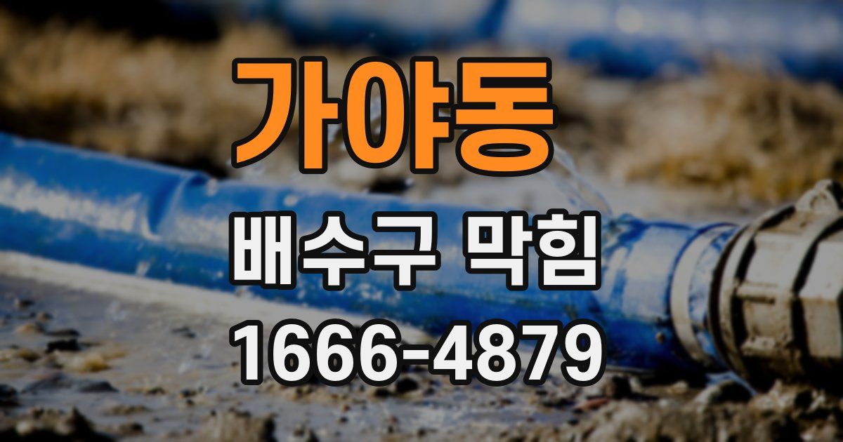 가야동 배수구 막힘