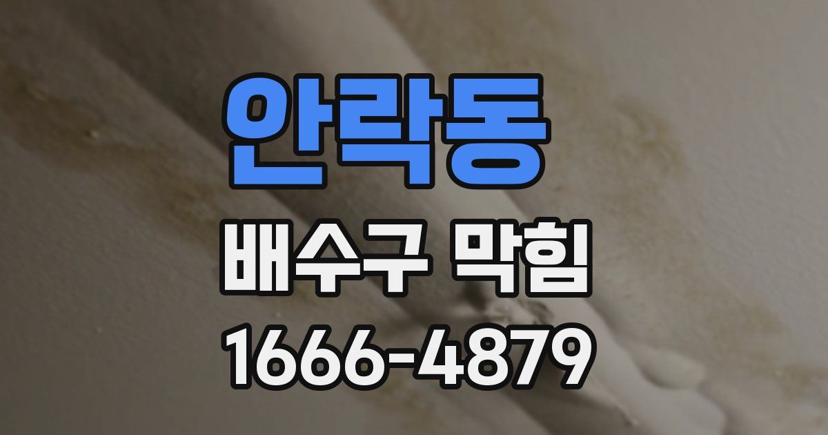 안락동 배수구 막힘