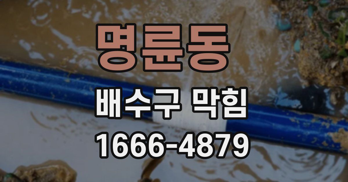 명륜동 배수구 막힘
