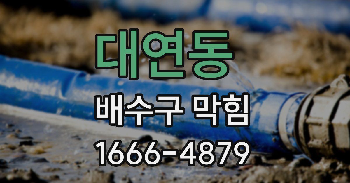 대연동 배수구 막힘