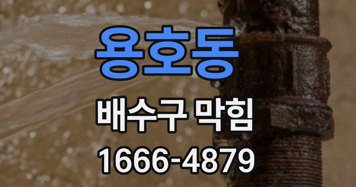 용호동 배수구 막힘