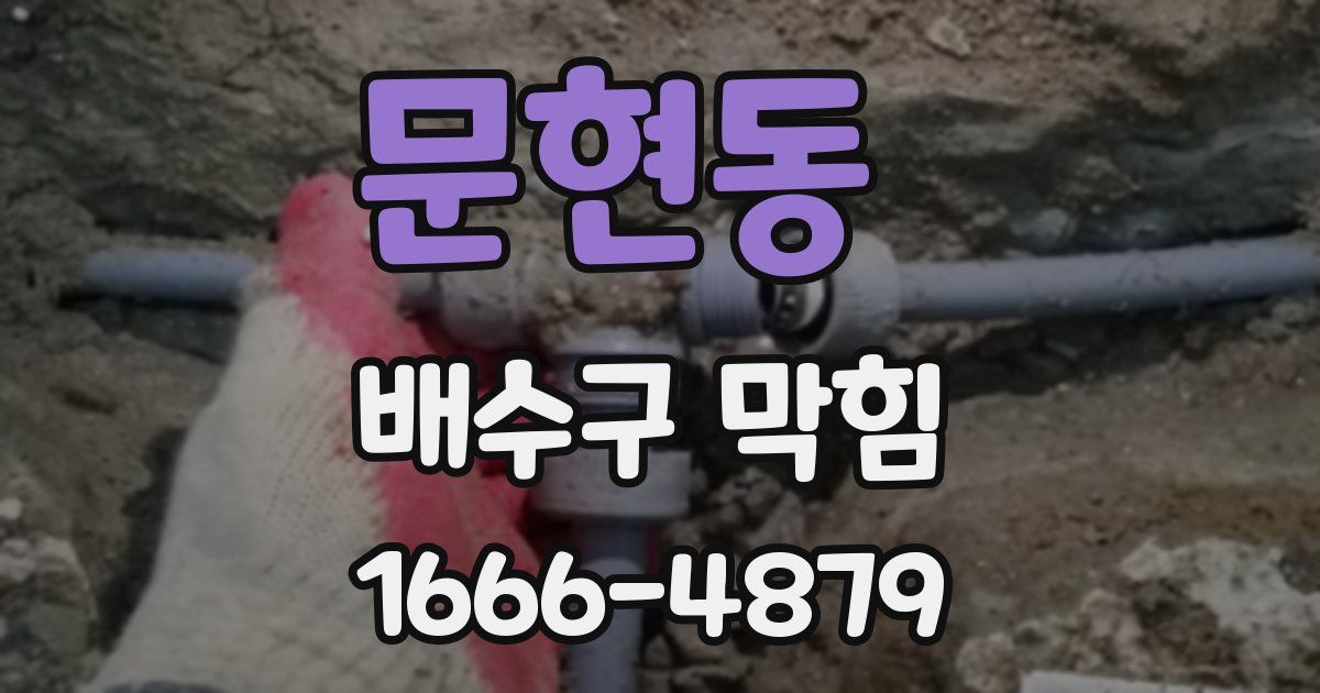 문현동 배수구 막힘