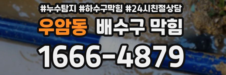 우암동 배수구 막힘