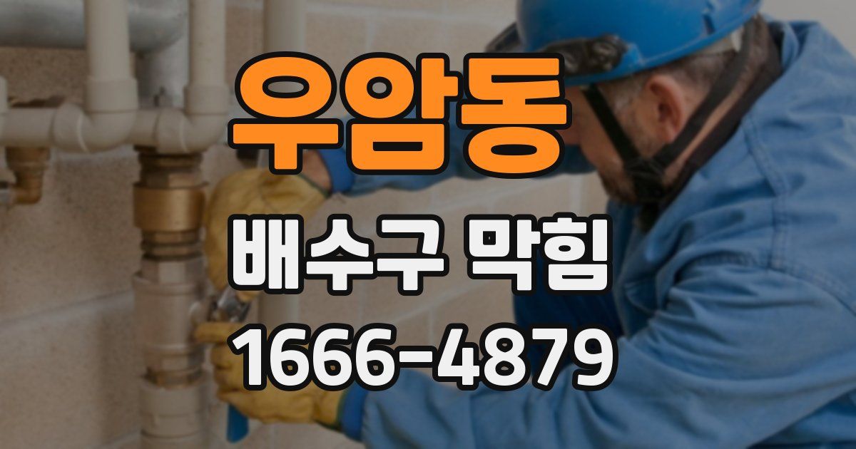 우암동 배수구 막힘
