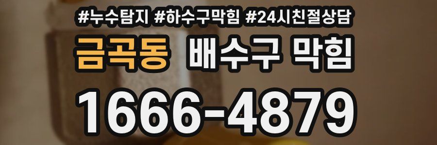 금곡동 배수구 막힘