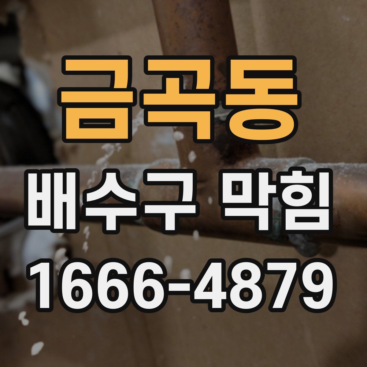 금곡동 배수구 막힘