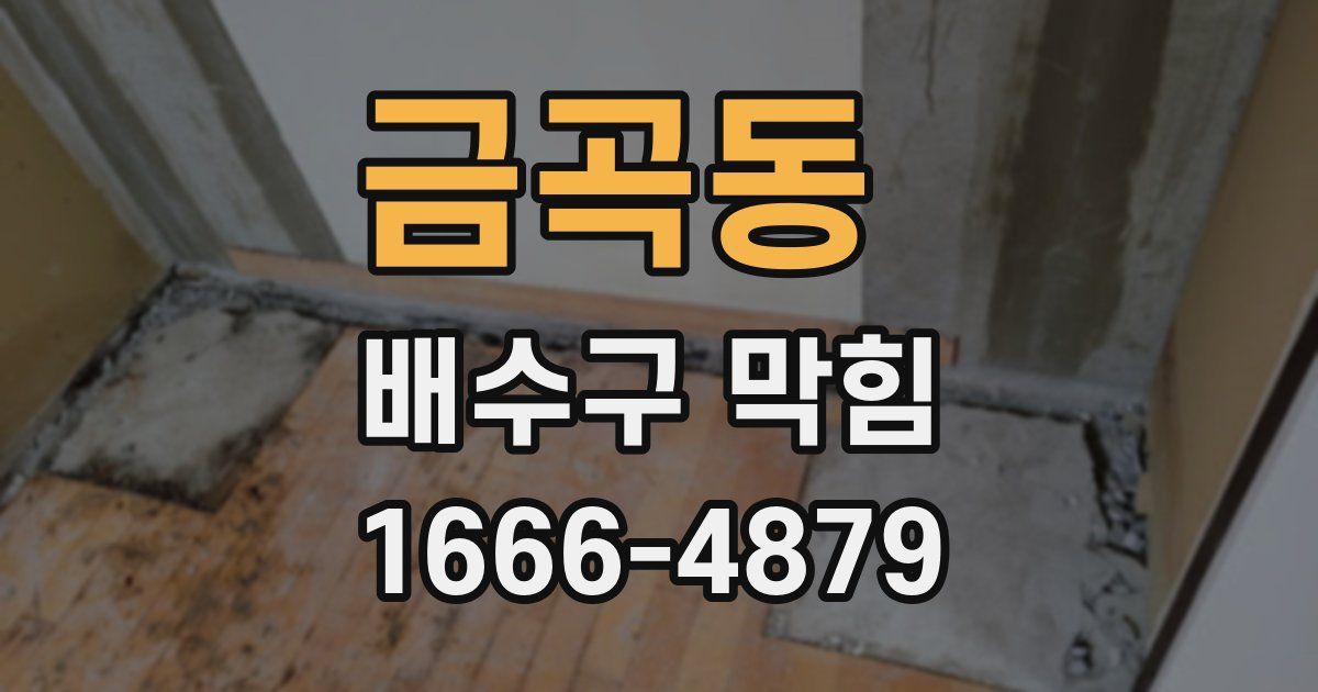 금곡동 배수구 막힘