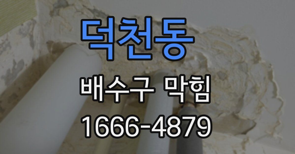 덕천동 배수구 막힘