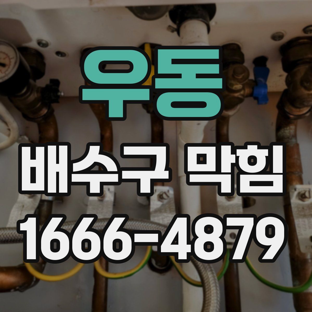 우동 배수구 막힘