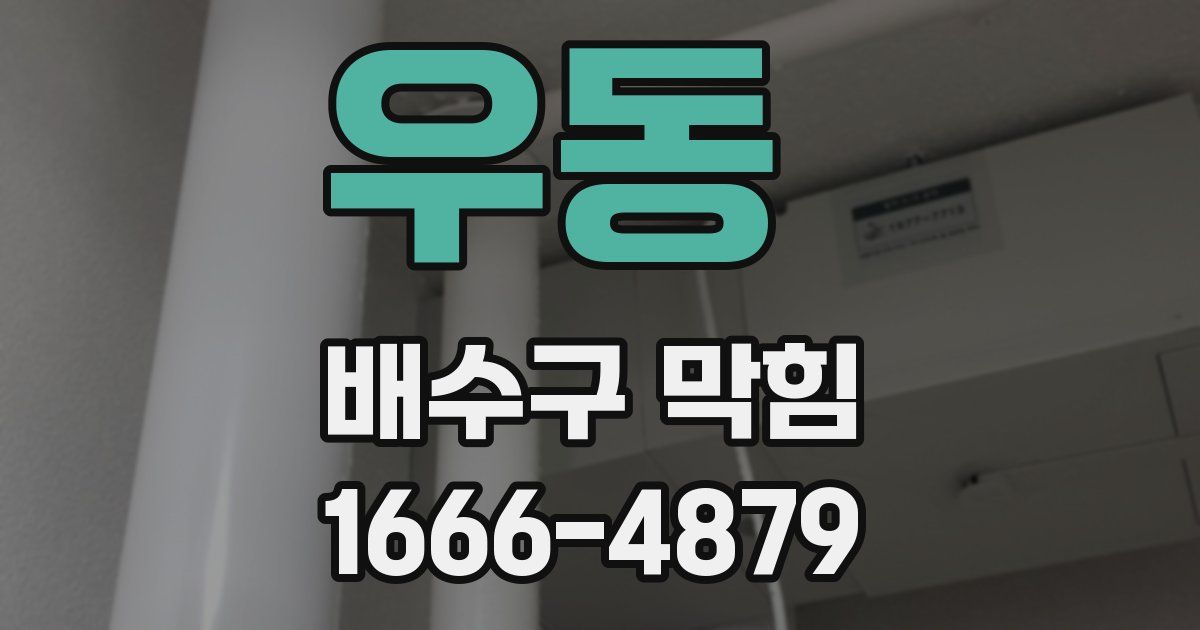 우동 배수구 막힘