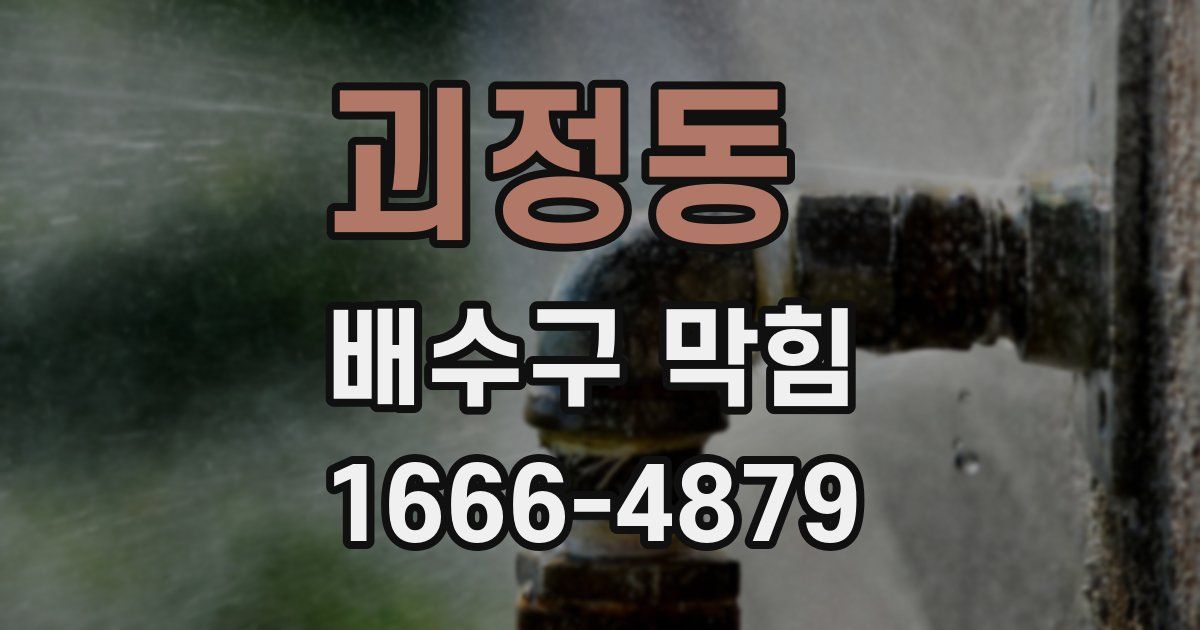 괴정동 배수구 막힘