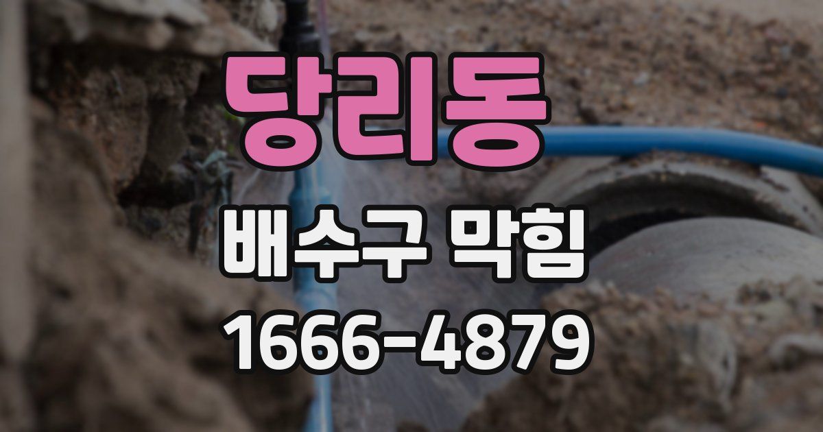당리동 배수구 막힘