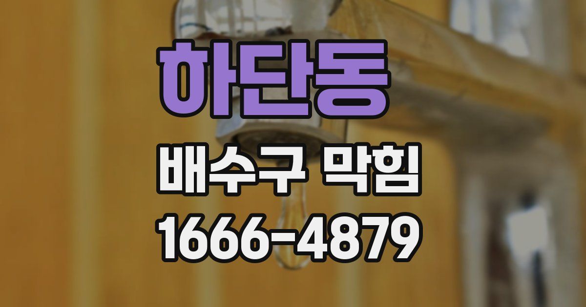 하단동 배수구 막힘