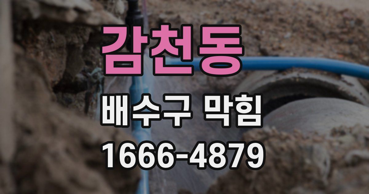 감천동 배수구 막힘