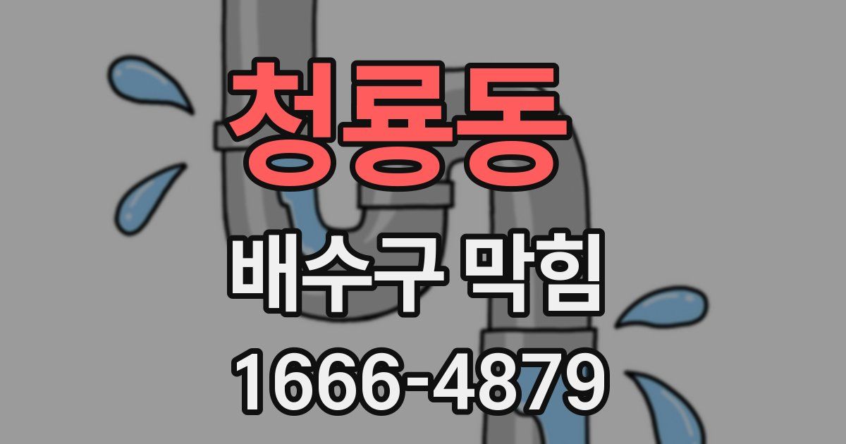 청룡동 배수구 막힘