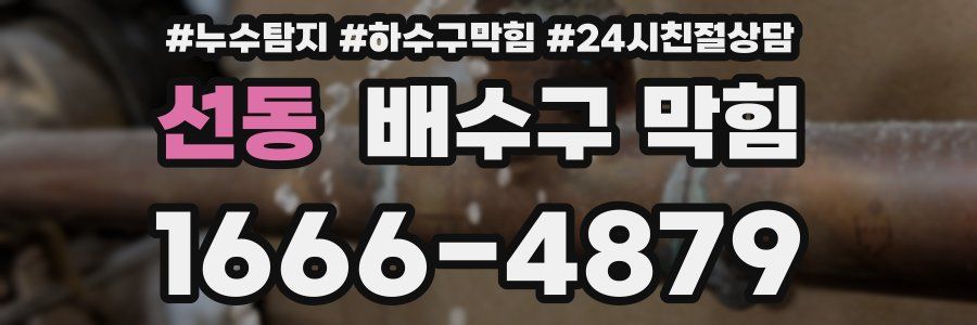 선동 배수구 막힘
