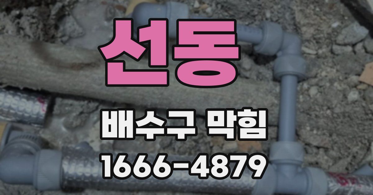 선동 배수구 막힘