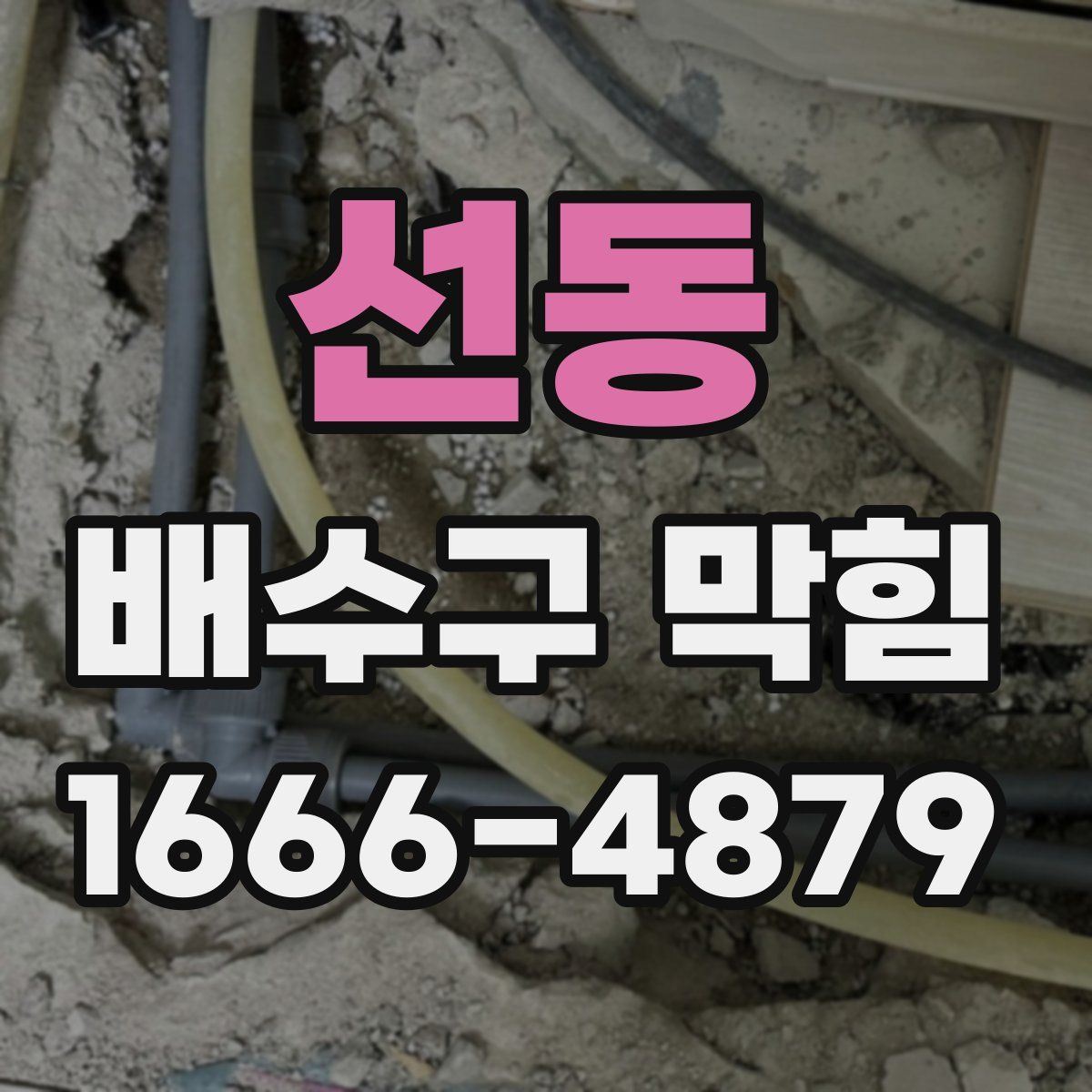 선동 배수구 막힘
