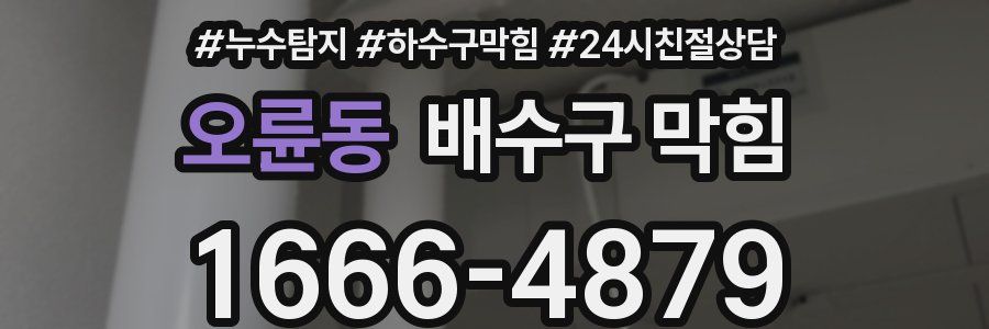 오륜동 배수구 막힘