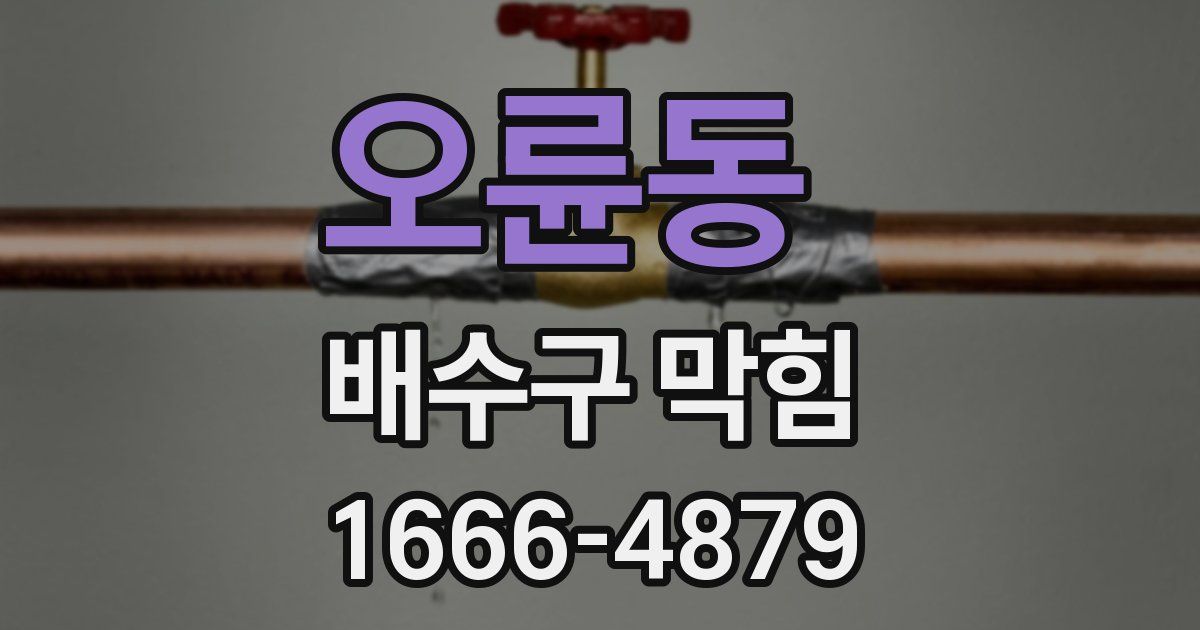 오륜동 배수구 막힘