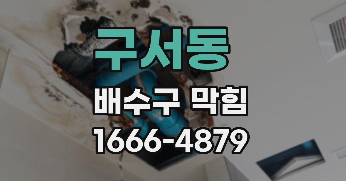 구서동 배수구 막힘