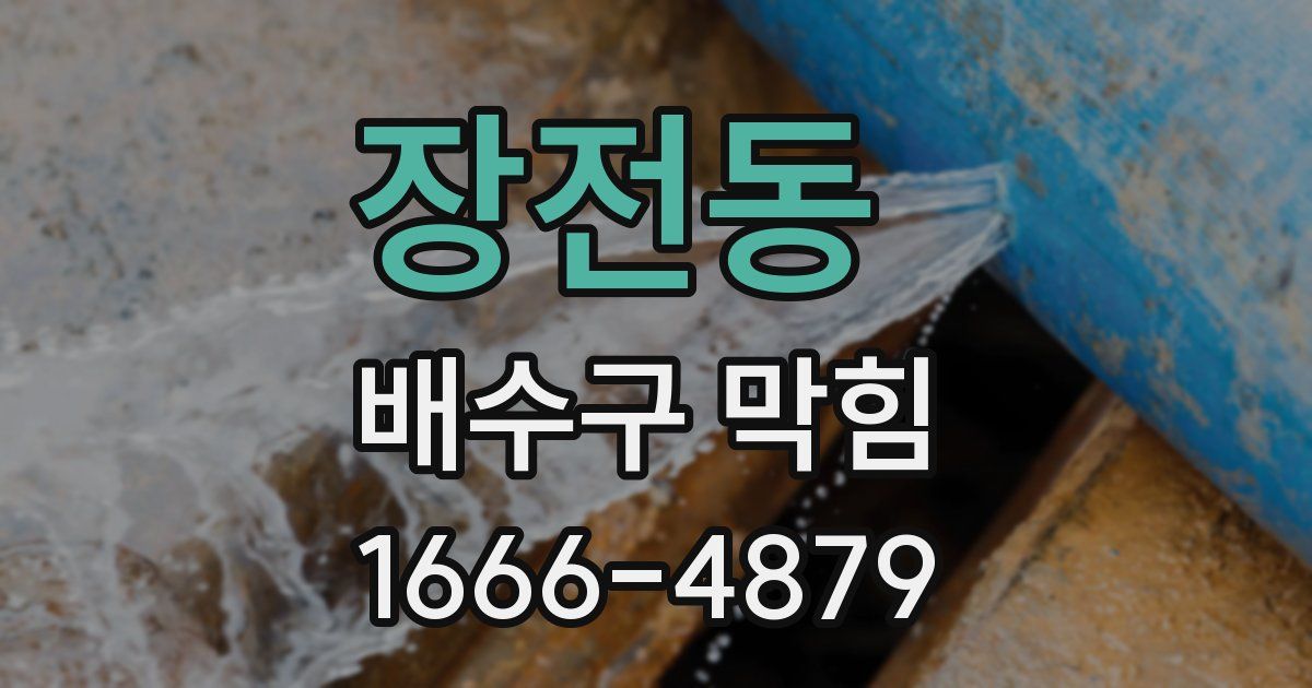 장전동 배수구 막힘