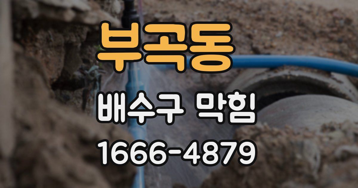부곡동 배수구 막힘