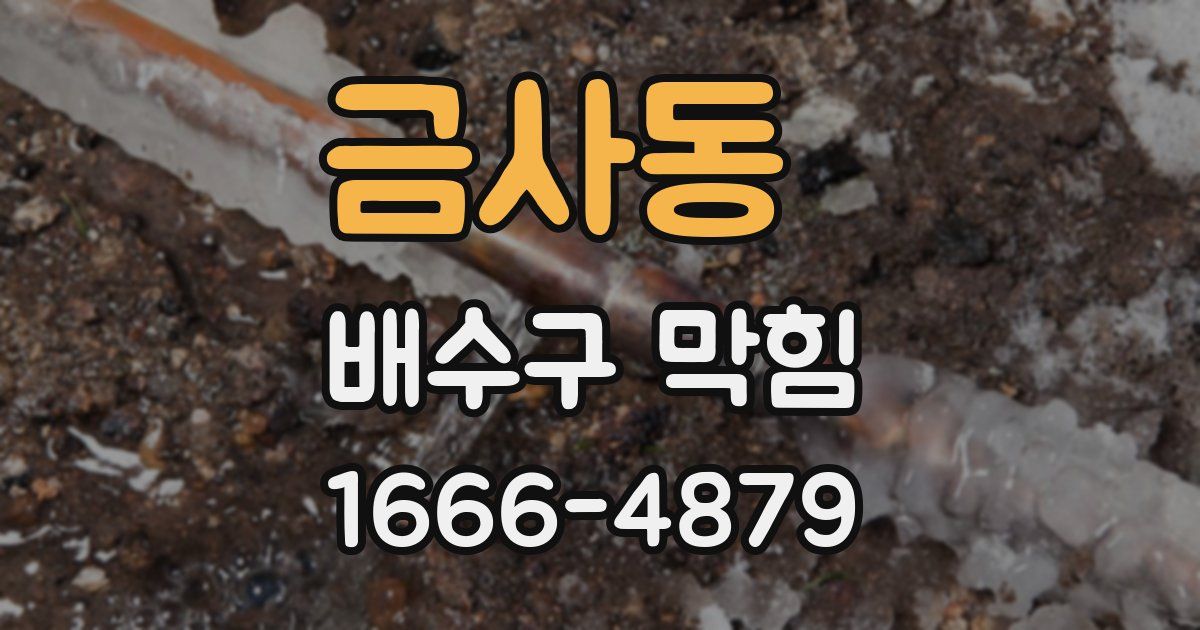 금사동 배수구 막힘