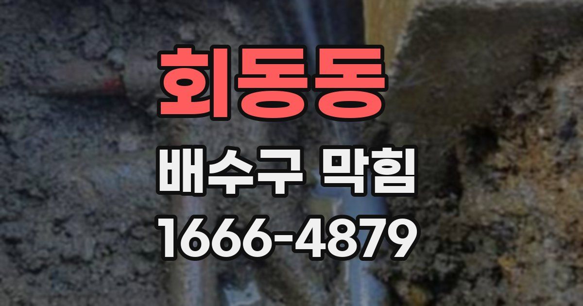 회동동 배수구 막힘