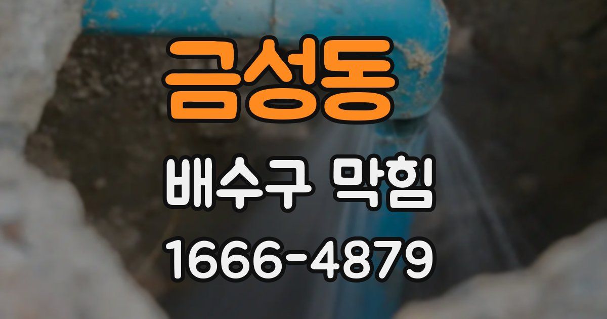 금성동 배수구 막힘