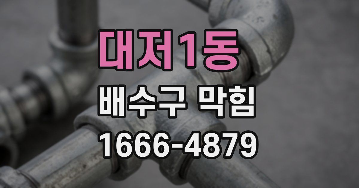 대저1동 배수구 막힘