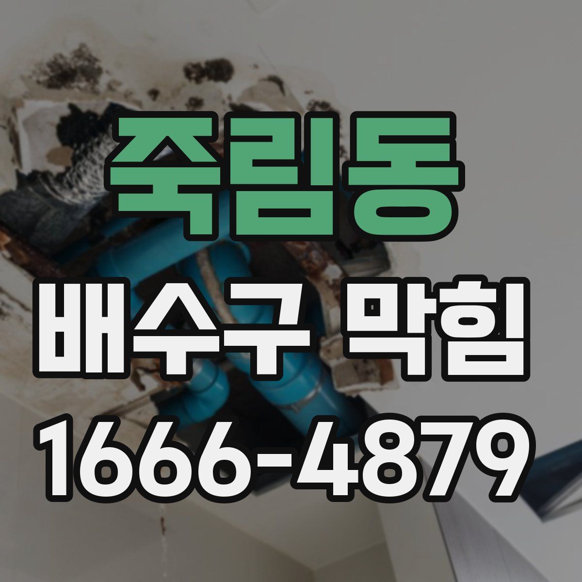 죽림동 배수구 막힘