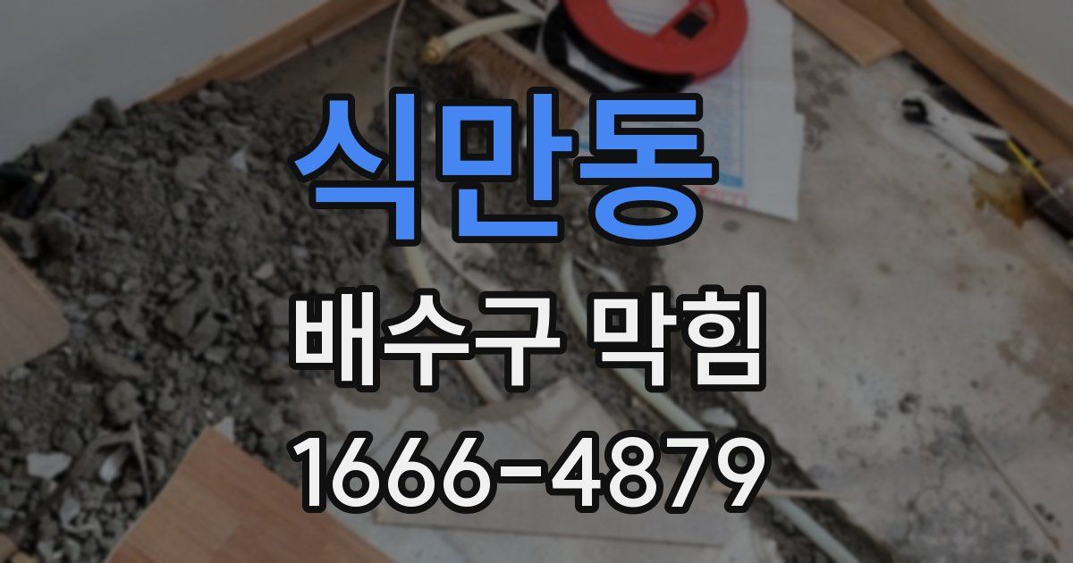 식만동 배수구 막힘