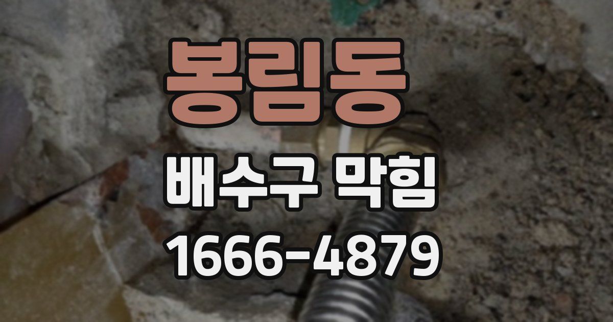 봉림동 배수구 막힘