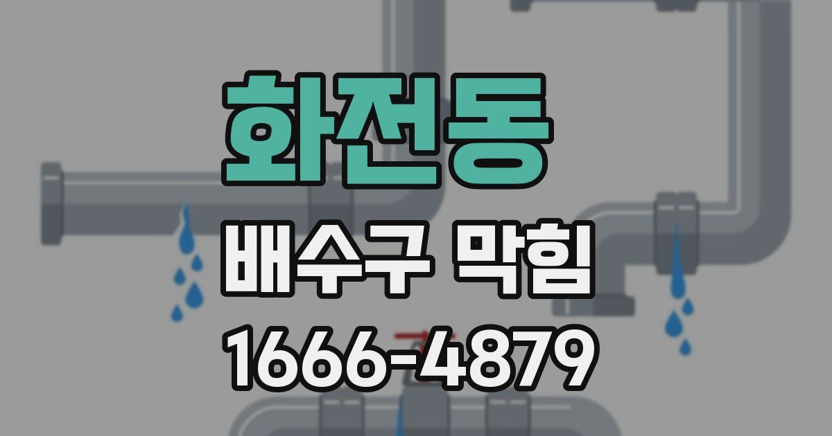 화전동 배수구 막힘